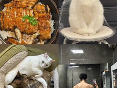 -玄白·炭烤活鳗(上海首店)