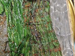 -瑞杰烧烤店·24小时营业(山东路店)