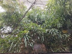 -慢丽江·云南野生菌土鸡锅(西山店)