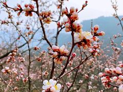 -居庸关长城