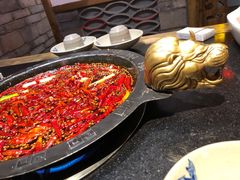 红油锅底-渝大狮毛肚老火锅(普陀店)