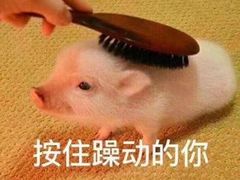 -五顺斋清真烤鸭(西大街总店)