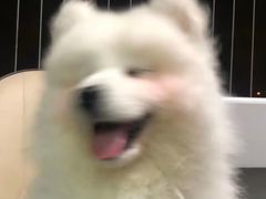 -英皇电影城(英皇集团中心IMAX店)