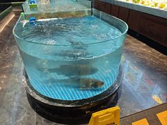 -江南婆婆(车墩店)