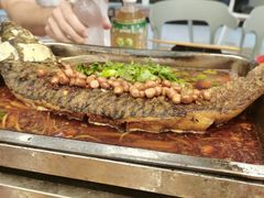-同济大排档