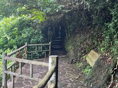 -海口火山口国家地质公园