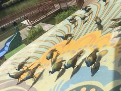 -西双版纳原始森林公园