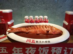 -阿五黄河大鲤鱼(英协路店)