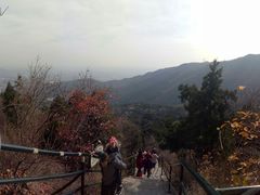 -香山公园-东宫门售票处