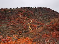 -水峪民俗村