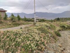 -玉湖村