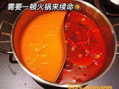 -熹悟海鲜火锅·广式打边炉