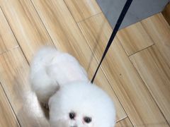 -听TA说宠咖·宠物生活馆(天韵水岸店)