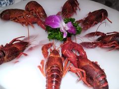 -京悦南门涮羊肉·羊蝎子火锅(田林路店)