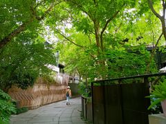 -西溪国家湿地公园