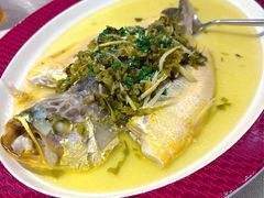 -圆苑(静安寺店)