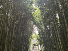 -采石矶景区