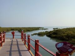 -北海金海湾红树林生态旅游区