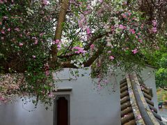-深圳国际园林花卉博览园