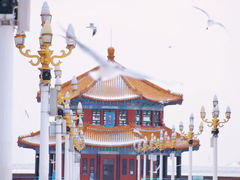 -栈桥景区