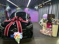 -上海星瀚奔驰4S店(红柳路店)
