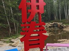 -汤旺河林海奇石景区