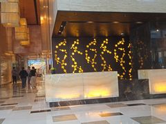 -上海龙之梦万丽酒店