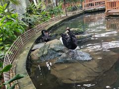 -南宫五洲植物乐园