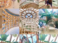 -瑶湖郊野森林公园