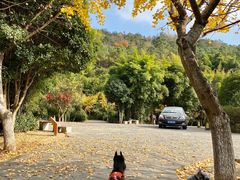 -九龙潭景区
