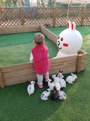 -萌宠亲子动物乐园(槐房万达店)