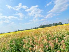 -中国天府农业博览园