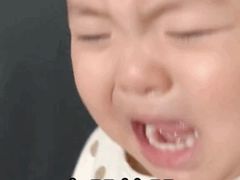 -来噻布布 Lets BUBU