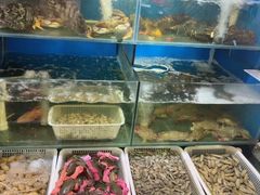 -福建美食城(老君堂店)