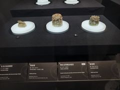 -广西壮族自治区博物馆