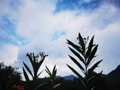 -堂本家洋食别馆·炸猪排(中心城店)