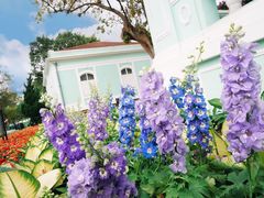 -龙环葡韵住宅式博物馆