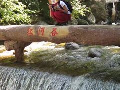 -陕西省红河谷森林公园