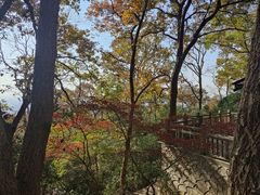 -紫金山山顶公园