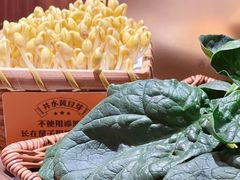 -巴奴毛肚火锅(悠唐购物中心店)