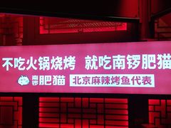 门面-南锣肥猫·麻辣烤鱼·16年现烤现卖(财富购物中心店)