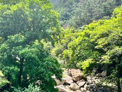 -崂山九水游览区