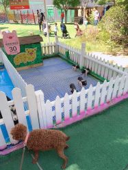 -萌宠亲子动物乐园(槐房万达店)