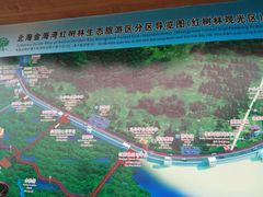 -北海金海湾红树林生态旅游区