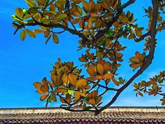 -龙华寺