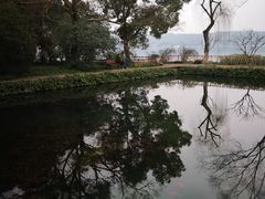 -西湖外事游船(花港观鱼码头)