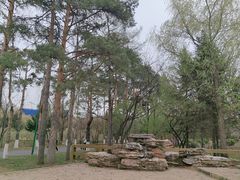 -黑龙江省森林植物园