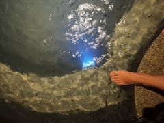 -惠州金海湾嘉华度假酒店