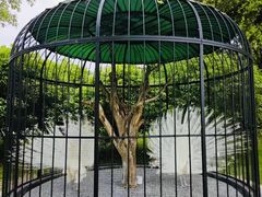 -养云安缦·廊