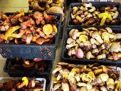 -双喜农庄·菌香园(安居家园店)